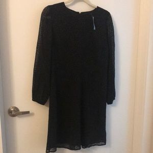 NWT LOFT dress